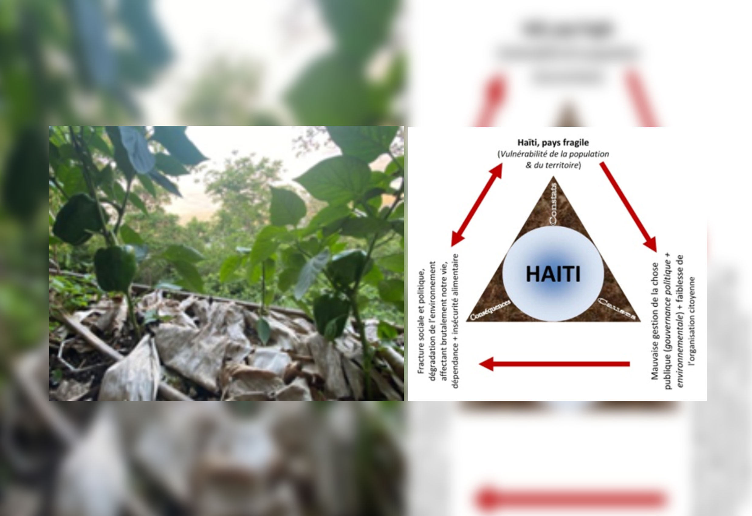 Haïti, entre fragilité et dépendance