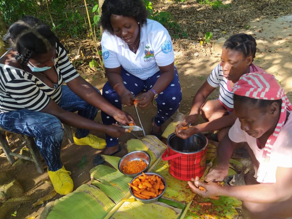 Haïti: les femmes rurales investissent en elles-mêmes