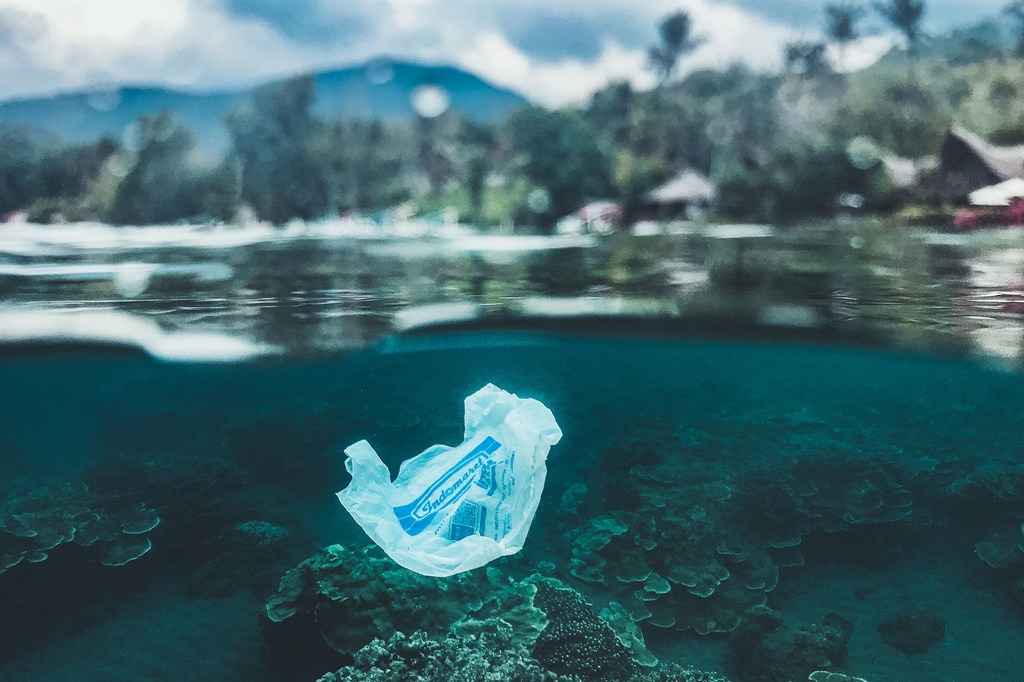 Qu’est-ce que l'Assemblée des Nations Unies pour l'Environnement et pourquoi est-ce important ?