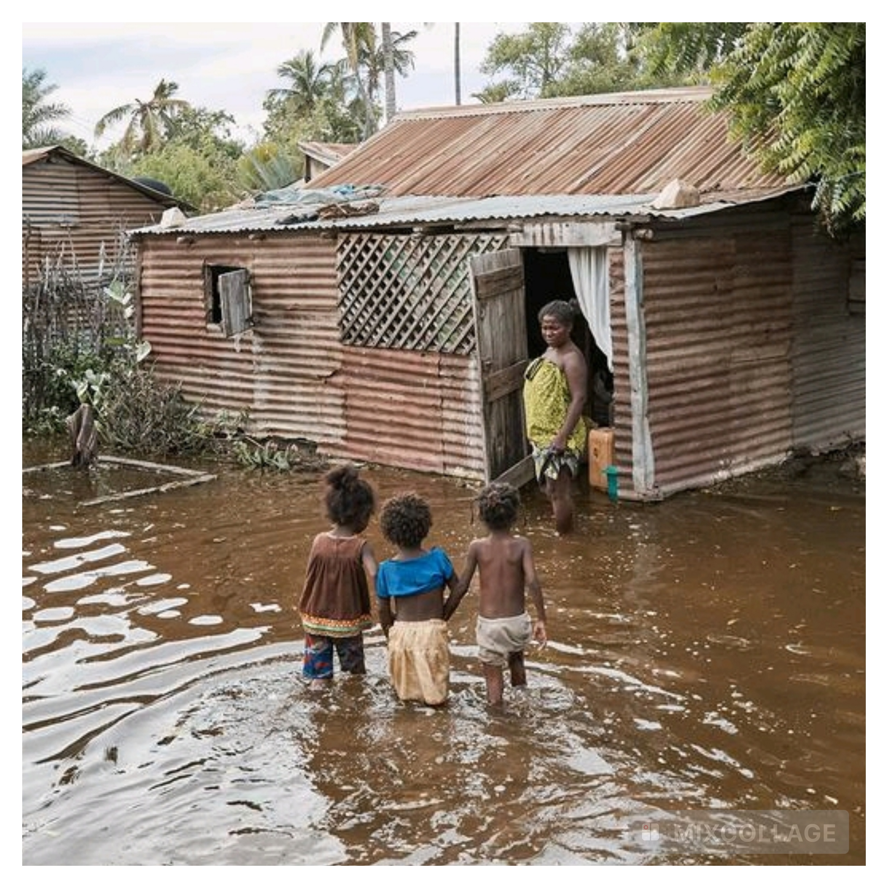 À la COP30, l’OMS alerte : « La crise climatique est une crise sanitaire »
