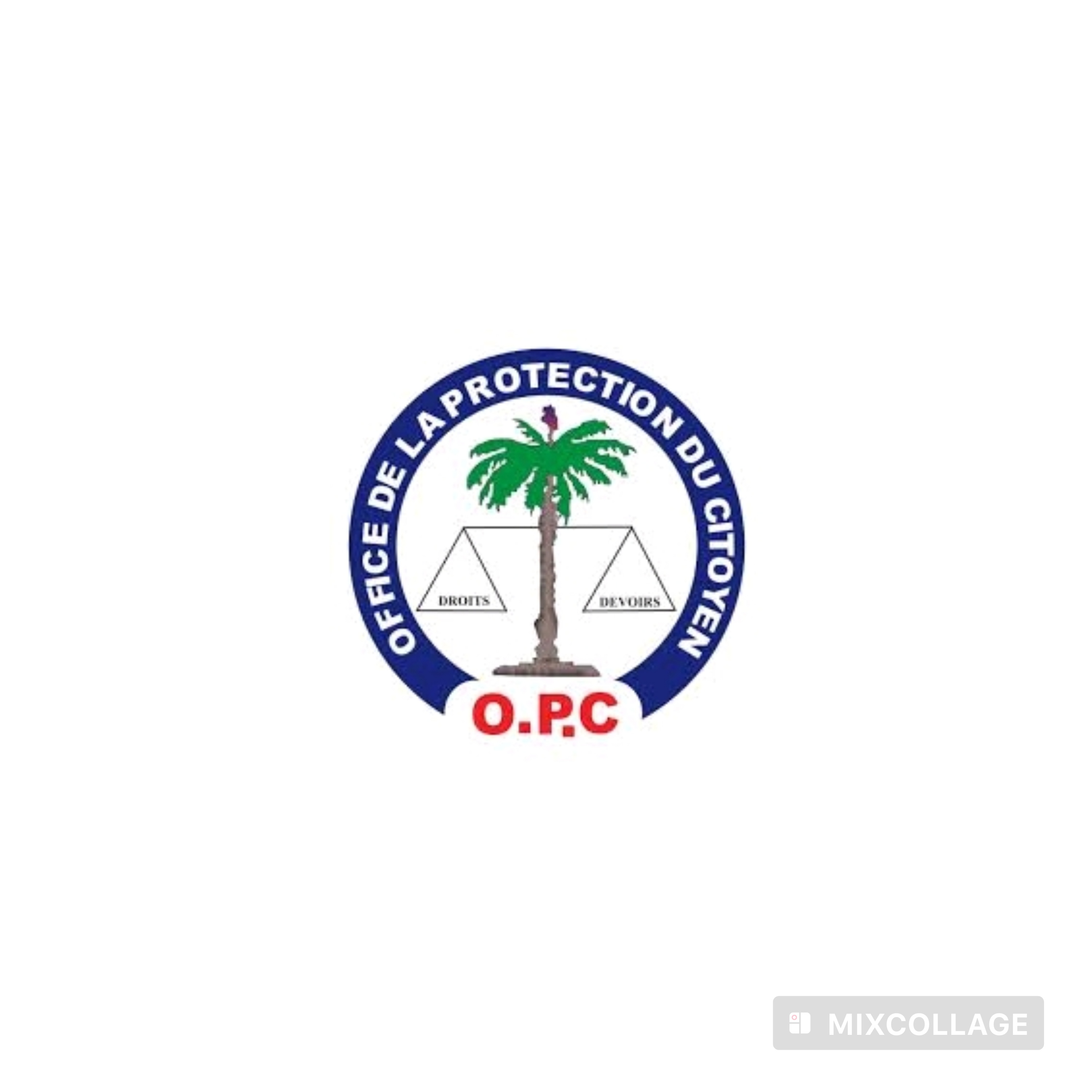 OPC-PNUD : vers un plan d’action pour les survivantes de violences sexuelles