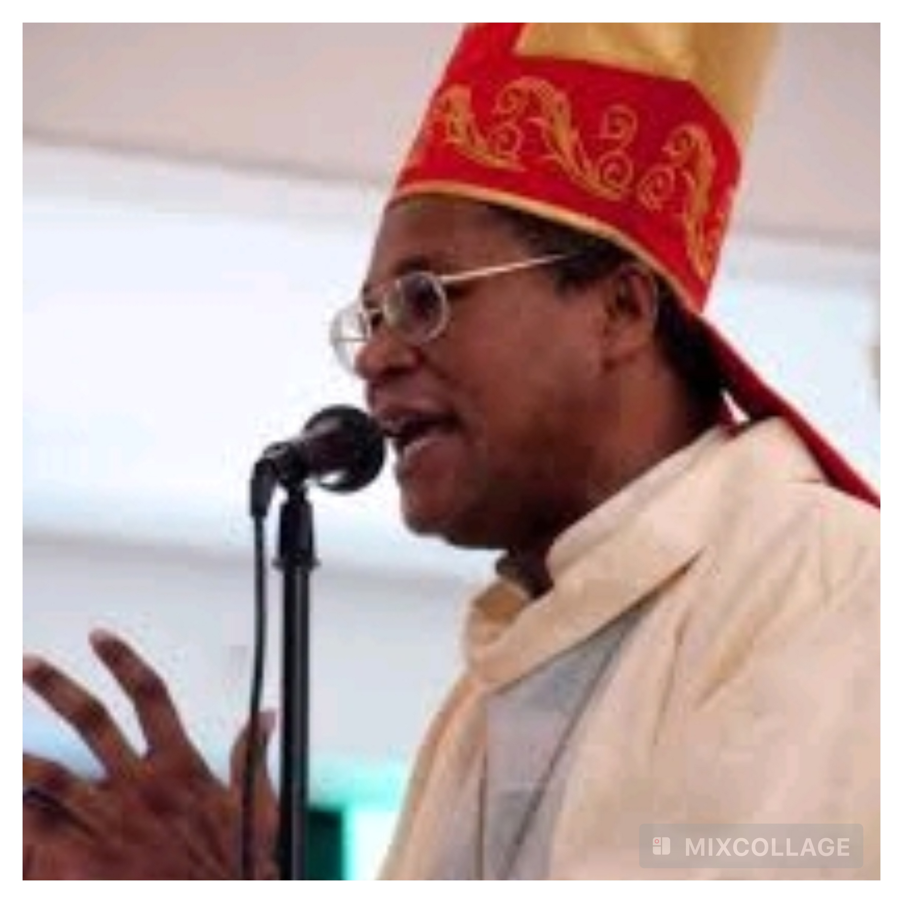 Mgr Pierre-André Dumas appelle à une vigilance pastorale face aux dérives sociales et spirituelles