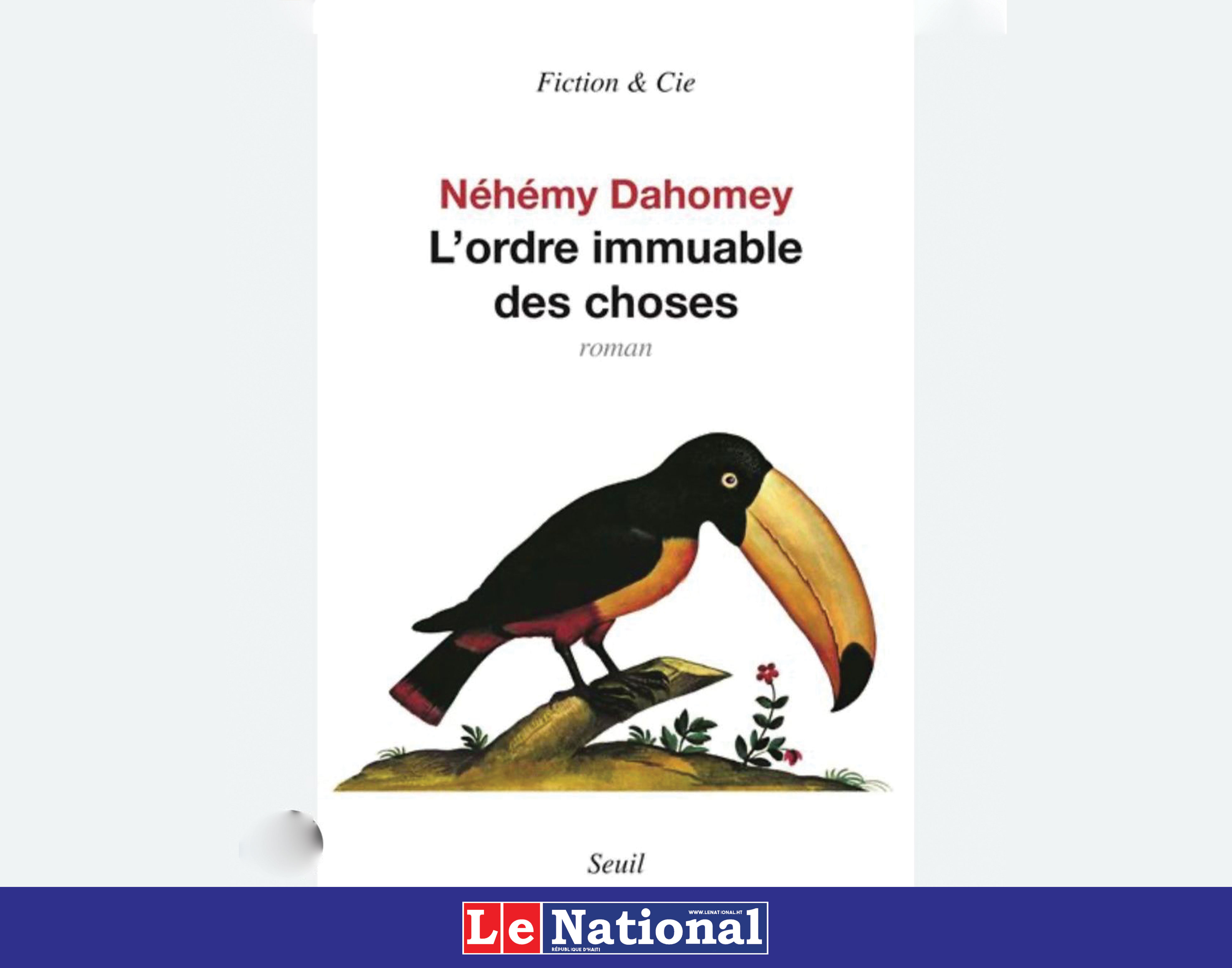 Néhémy Dahomey, ou apprendre à grandir sous la violence