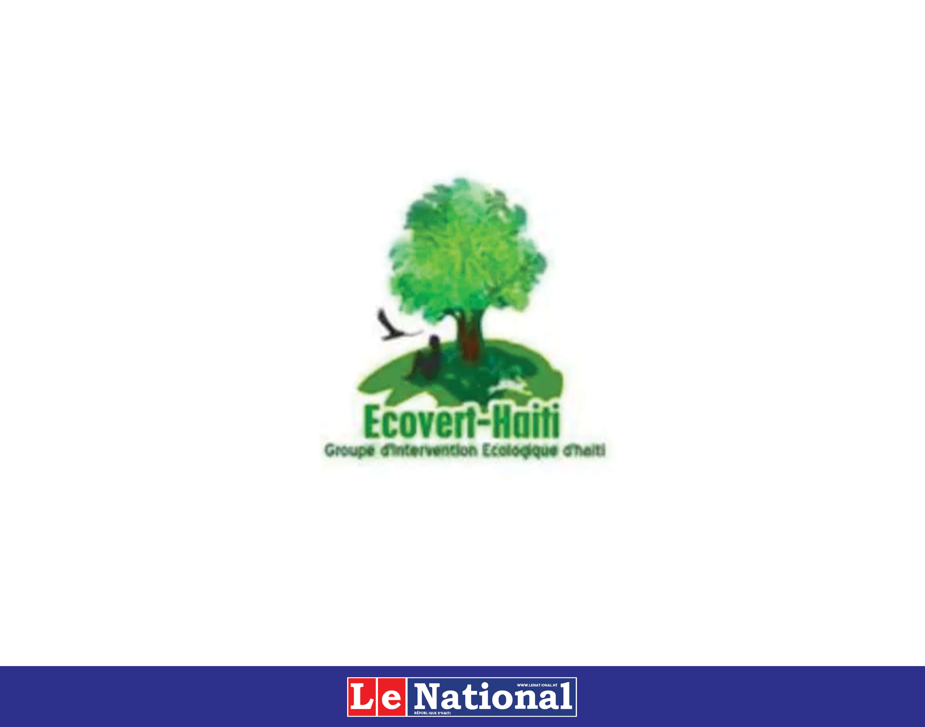Ecovert-Haïti analyse la situation des ressources forestières et hydriques en Haïti 