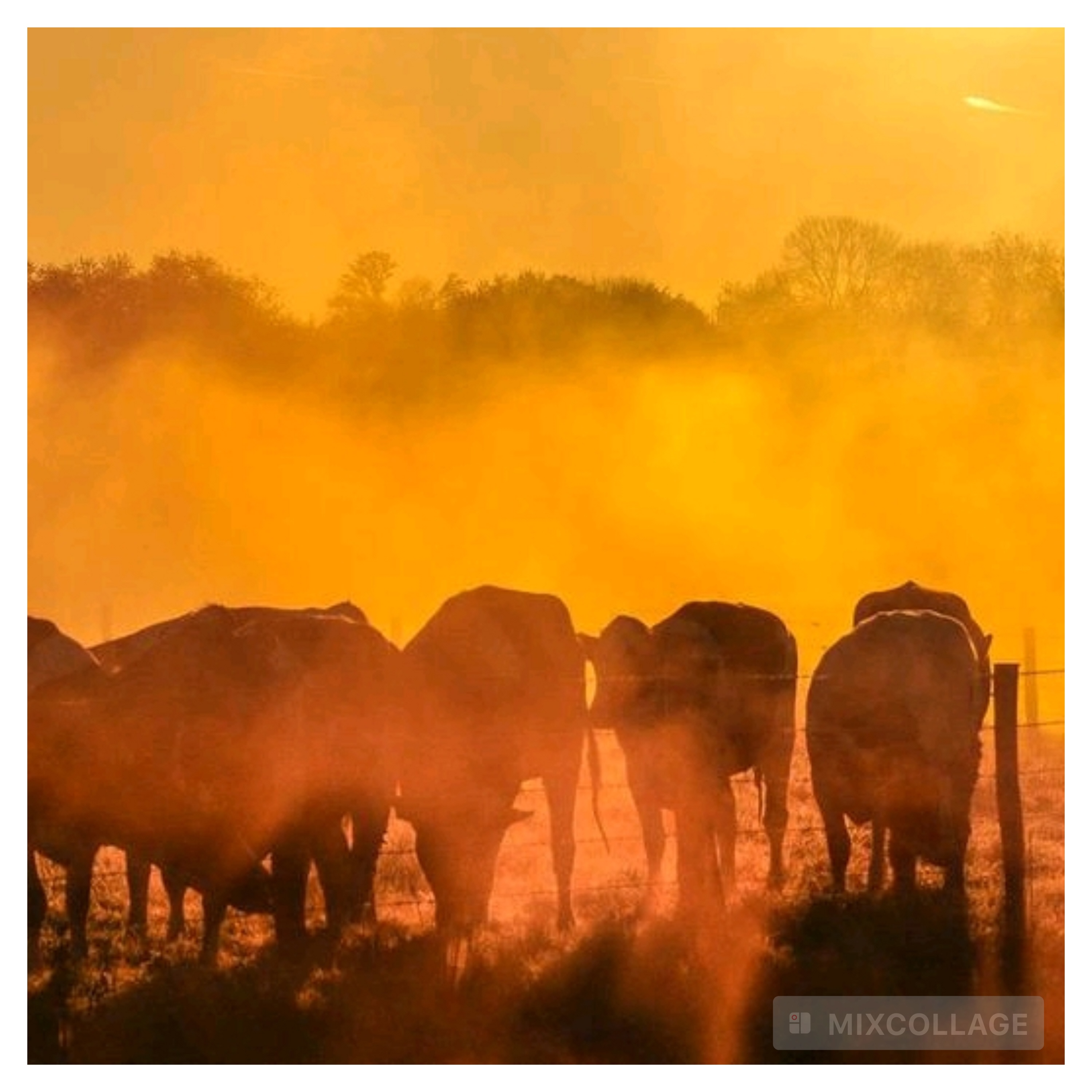 COP30, le chef de l&#039;ONU appelle à « faire reculer la fièvre »...