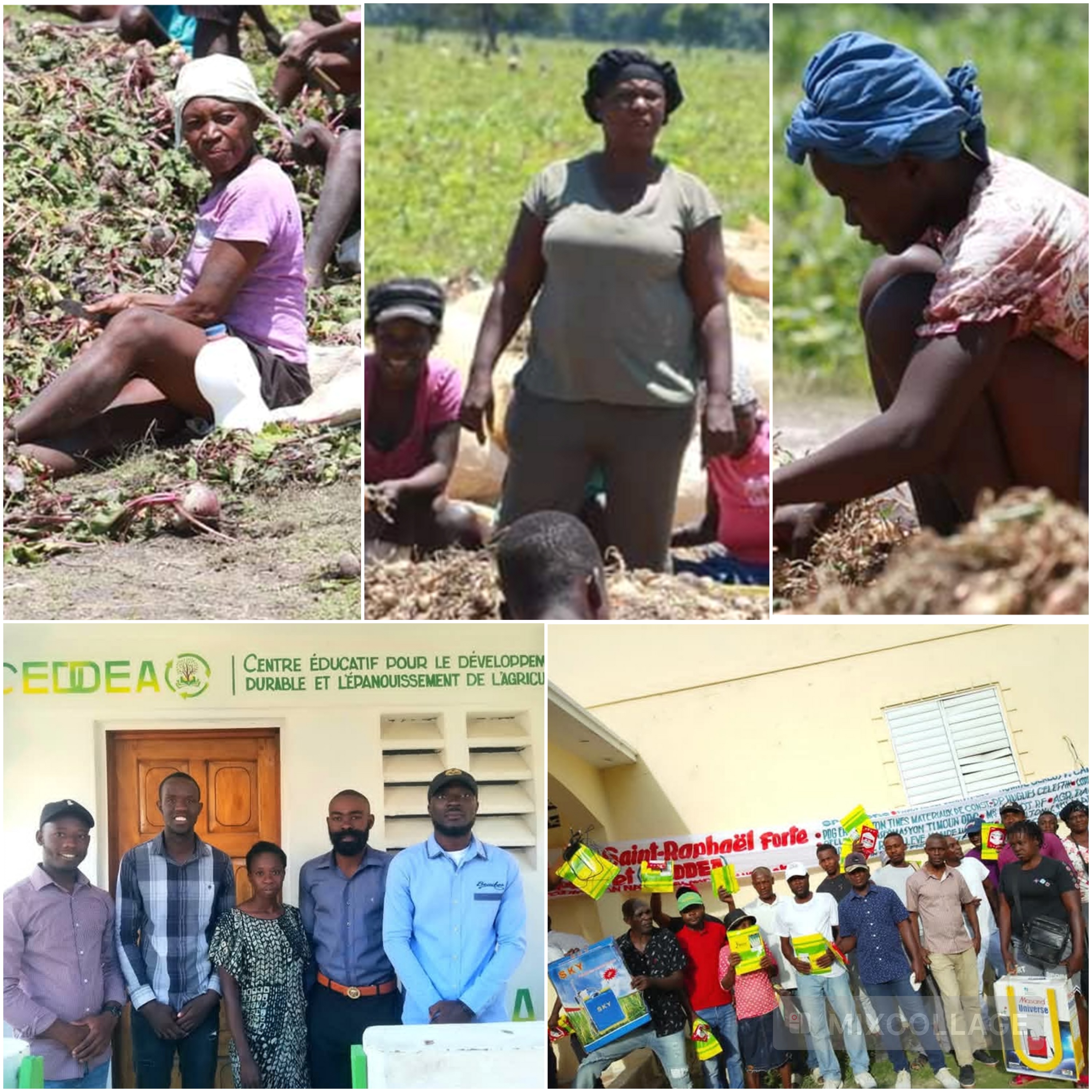 Haïti: intégrer genre et développement durable en agriculture