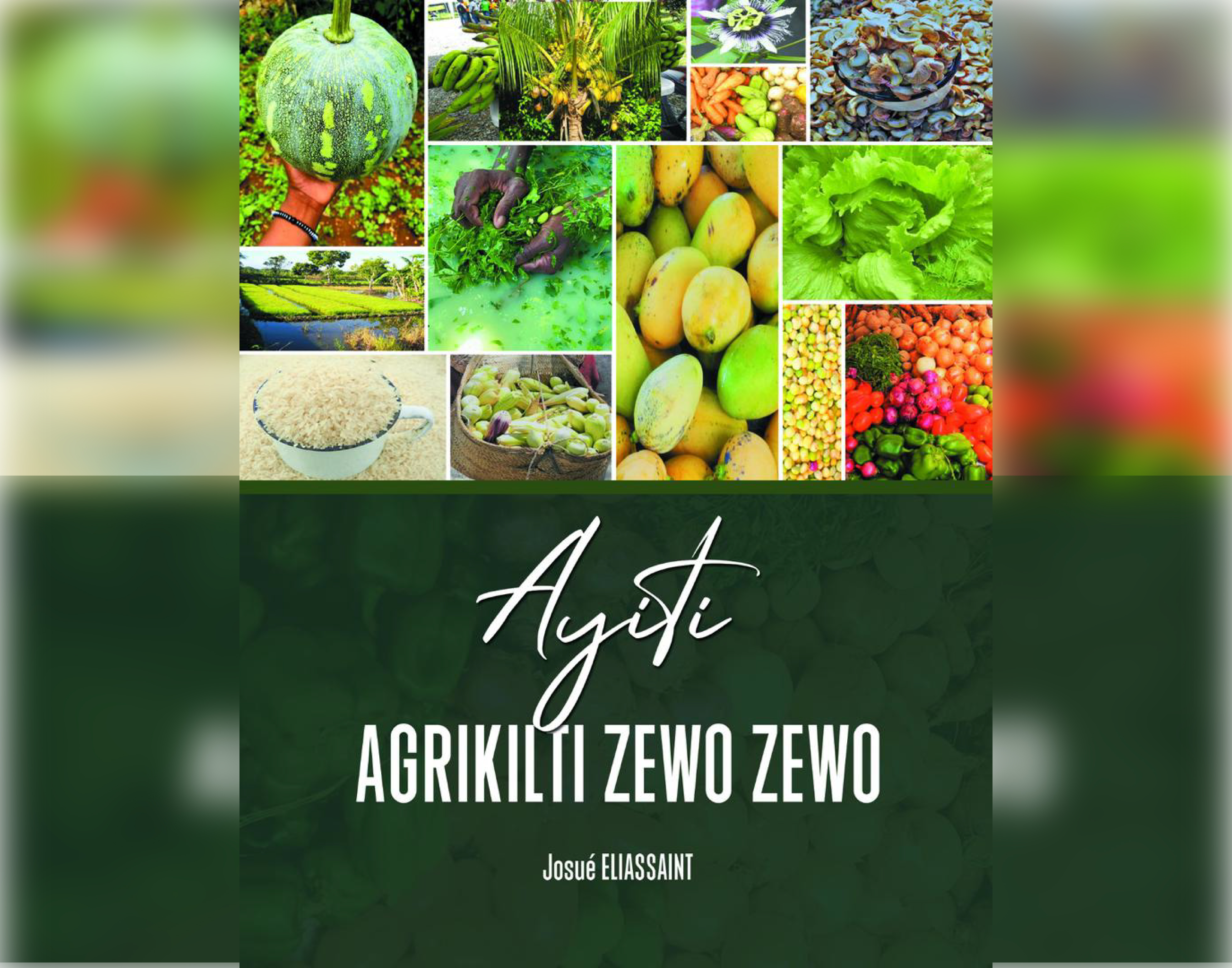 Ayiti, Agrikilti Zewo Zewo: Yon apèl pou n rebati yon sektè agrikòl ki wè devlòpman 