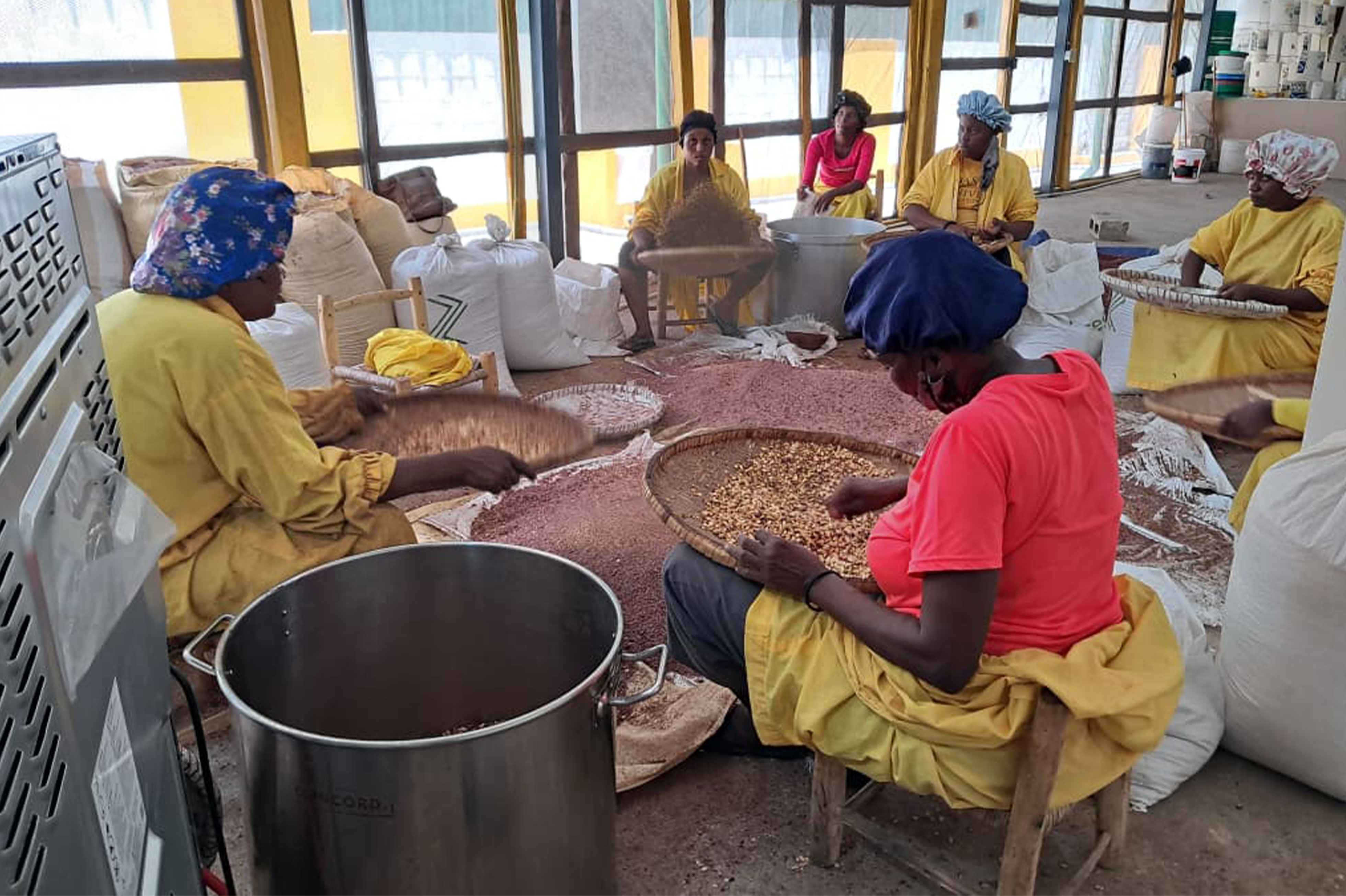 Vers la création du Musée haïtien de l’agriculture et de l’alimentation ?